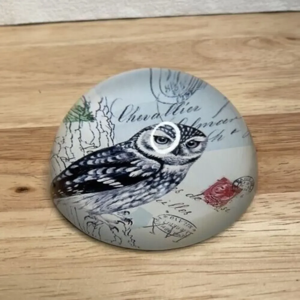 Vintage Art Glass Owl Print Living Wisdom Dome Round‎ Paperweight 1.3
